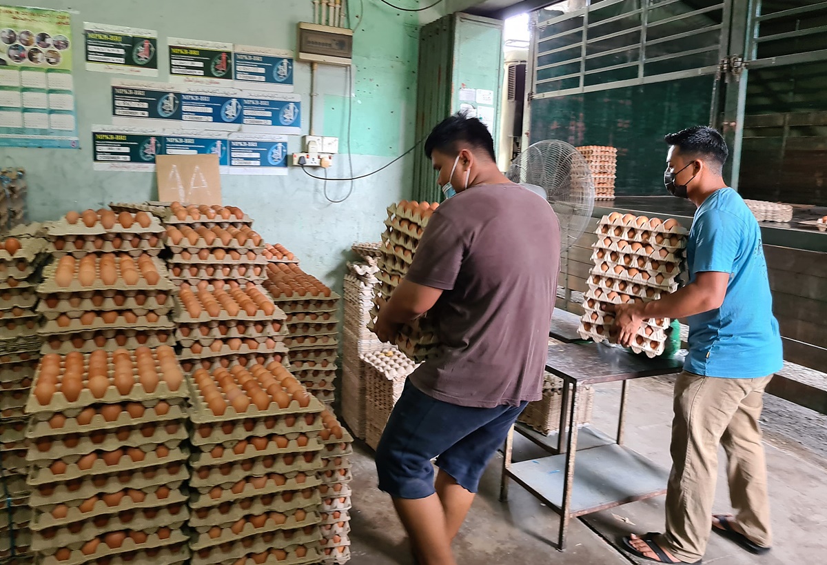 东：鸡蛋价格一再上涨，哥市批发业者表示，目前各级鸡蛋价格堪称是近5年最高的一次！