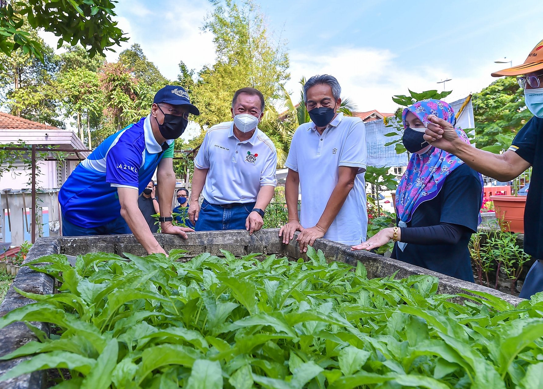 大都会-直辖区部长及吉隆坡市长探访菜园
