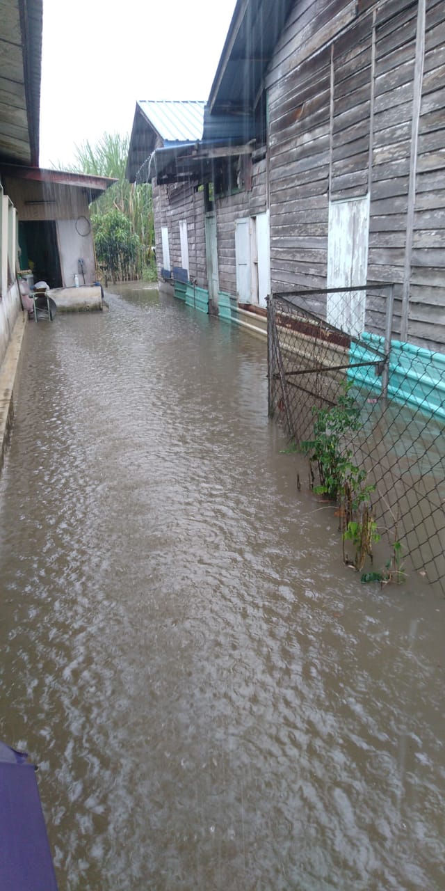 大都会/今午的一场大雨，导致呀吃14英里新村又淹水，这是该村于本月两度面对严重的水灾