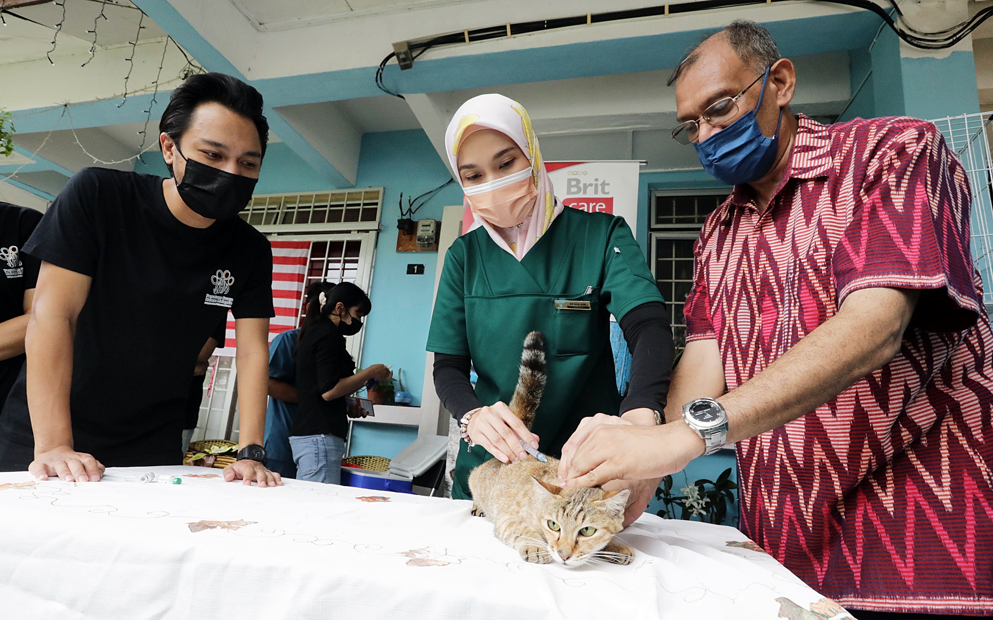 大都会/MZ头/猫咪组织举办注射疫苗活动