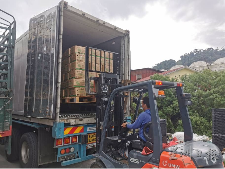 大霹雳／新邦波赖路关闭影响75%农产品运输 金马仑菜车兜远路下山运输成本增