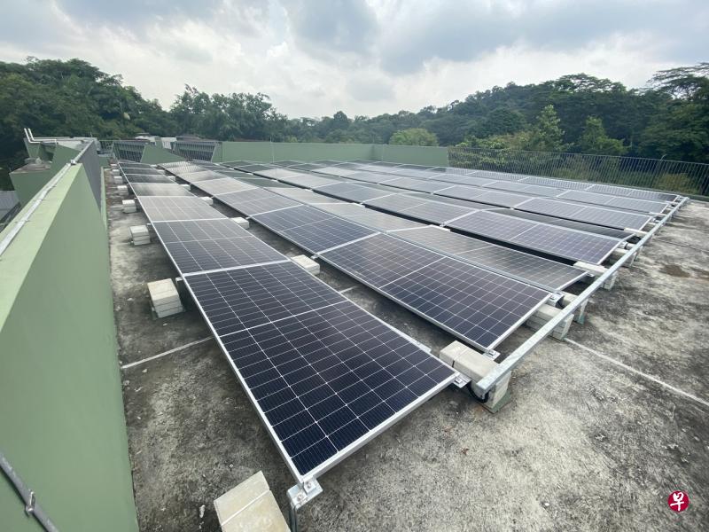新加坡|万礼生态园区安装太阳能板 争取2024年达到碳中和