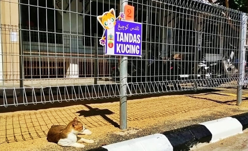 东：巴西马县议会为达昔拉惹巴刹（Pasar Tasek Raja）设立了流浪猫的“公厕”，希望提升该地的公共卫生。