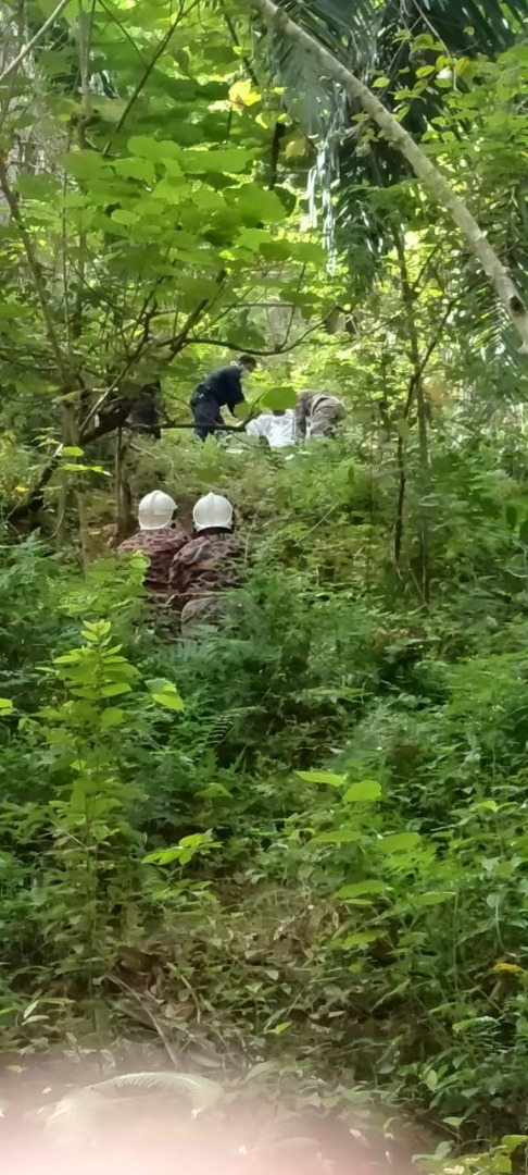 印男被绑在和丰园后山树上 警召消拯员救出