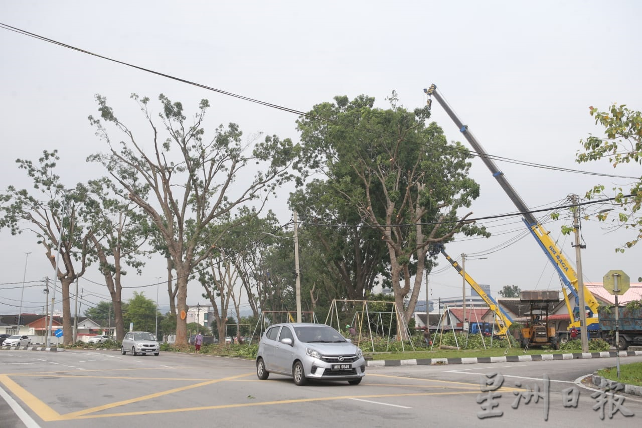 大霹雳时事焦点／怡市厅拨40万雨季前赶工 高风险区修大树枝桠