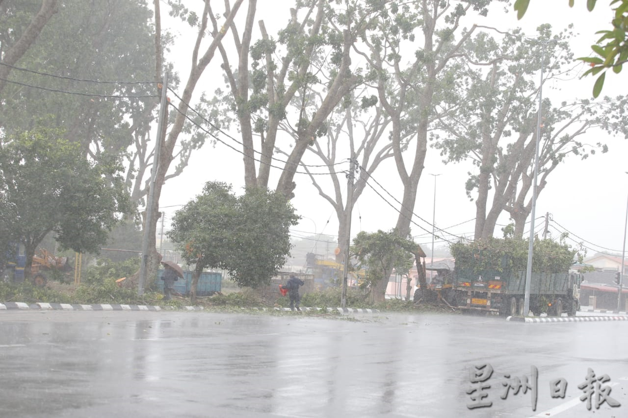 大霹雳时事焦点／怡市厅拨40万雨季前赶工 高风险区修大树枝桠