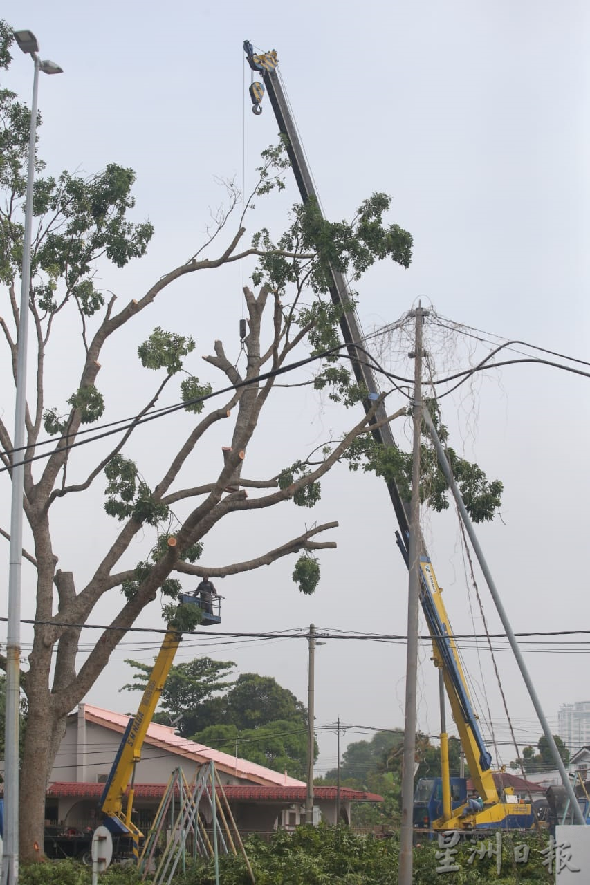 大霹雳时事焦点／怡市厅拨40万雨季前赶工 高风险区修大树枝桠