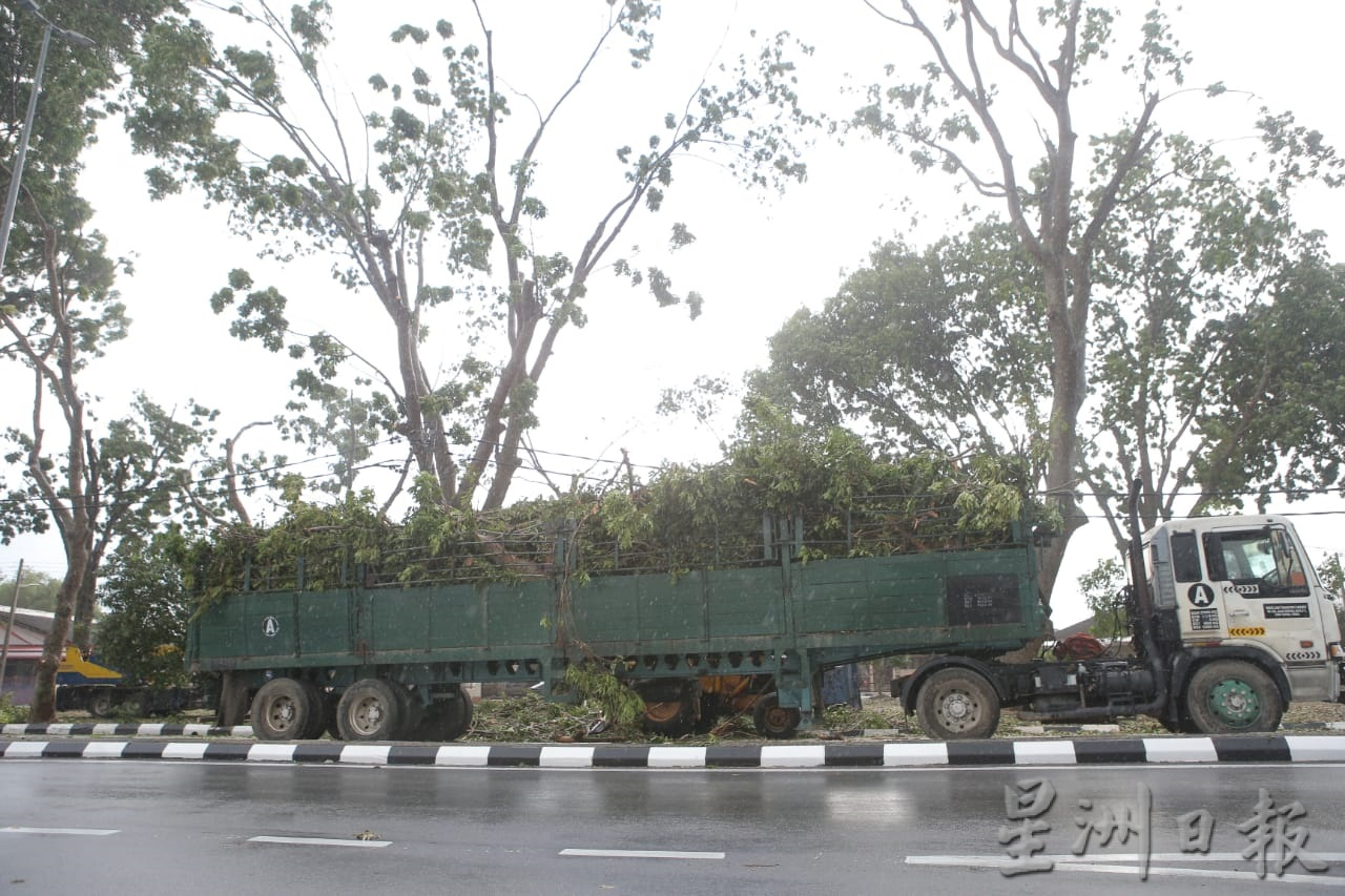 大霹雳时事焦点／怡市厅拨40万雨季前赶工 高风险区修大树枝桠