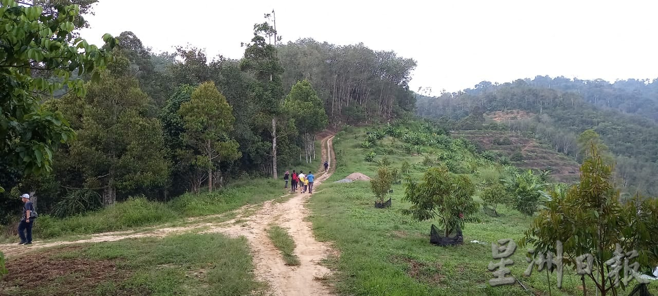 大霹雳时事焦点／登上利民加地山 看壮观云海