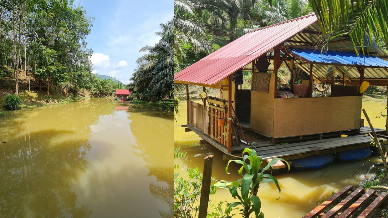 度假屋见水上建漂浮小木屋吸引顾客