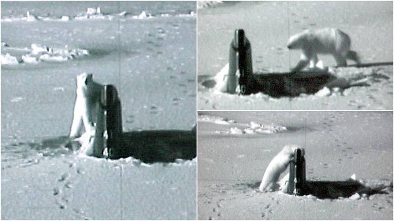 拼盘／美核潜舰“撞”况奇葩！破冰上浮 竟被北极熊抱住狂舔