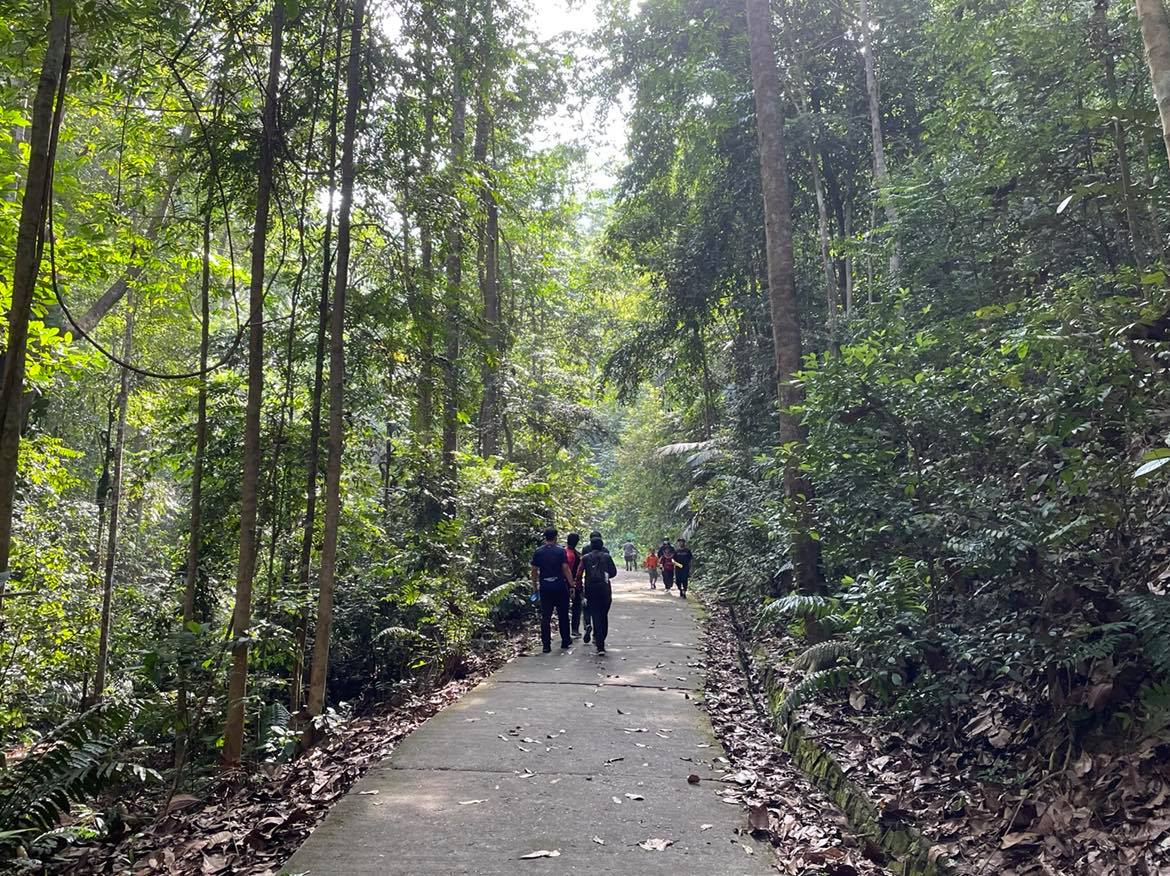 柔：特稿：南峇山恢复登山运动，​山友受促自主防疫