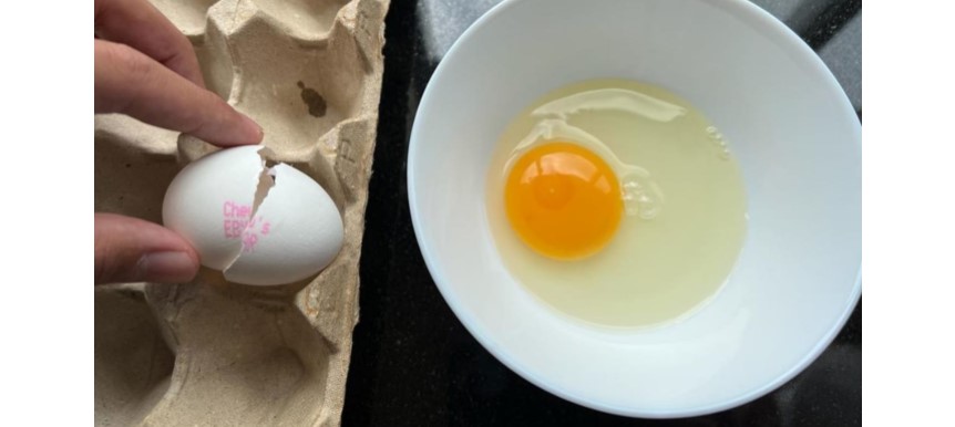 生产商回应鸡蛋里传出“叽叽”声 农场无公鸡不可能有受精蛋