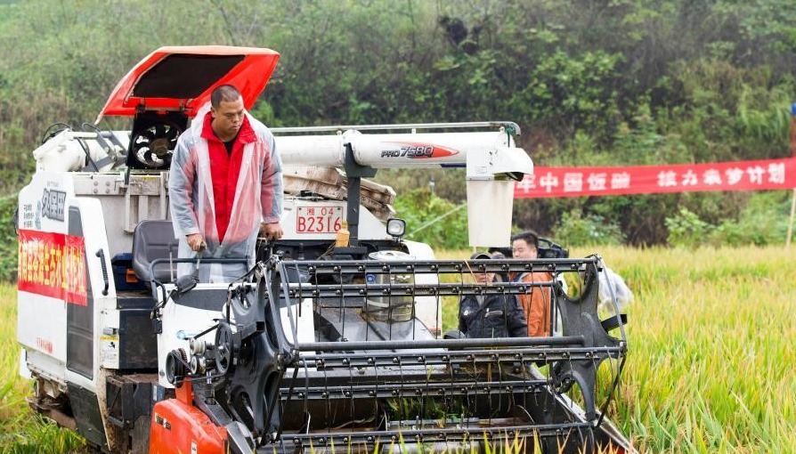 破纪录！袁隆平团队研发杂交水稻双季亩产1603.9公斤