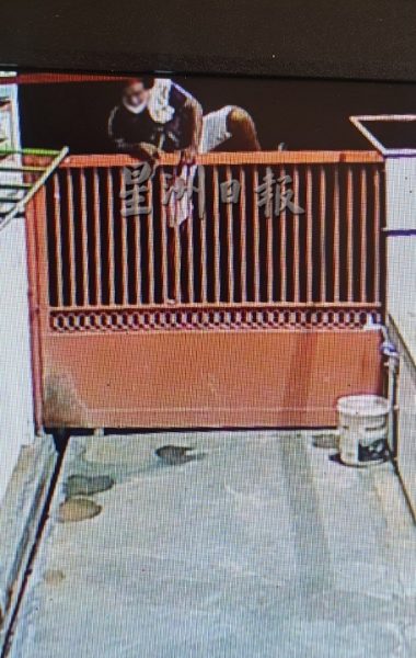 芙蓉公市猪肉档“偷肉贼”终于被拍到
