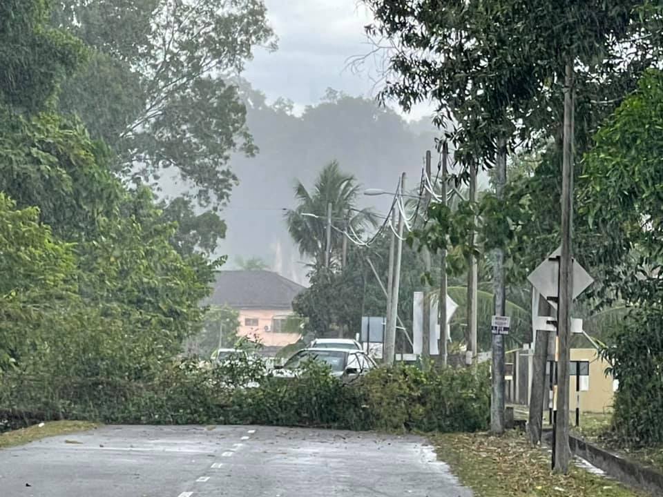 霹：已签／怡保中午豪雨  卫星市 翠林城发生倒树