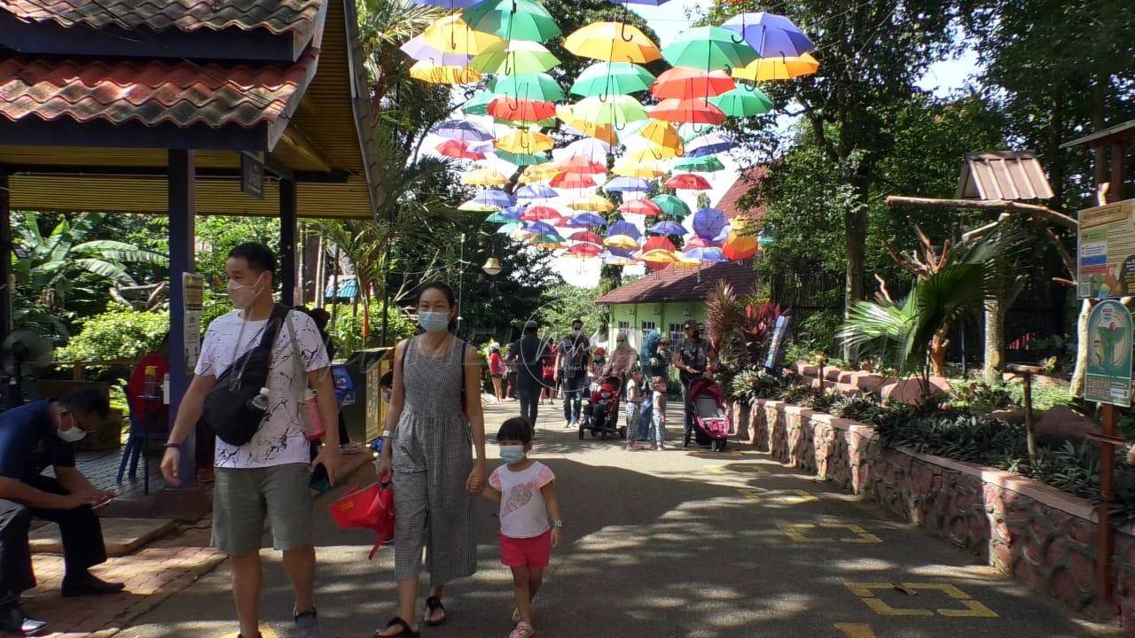 （古城版）马六甲动物园16天逾万人到访，售出票额超过80万令吉