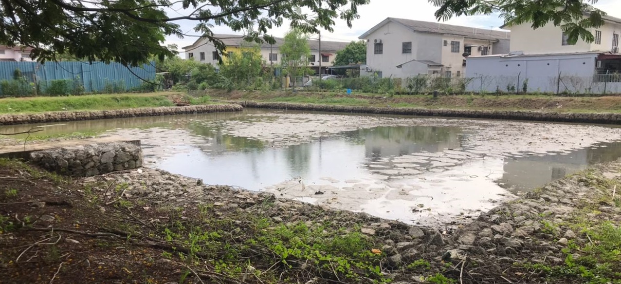 （大都会）/封面副文/巴生卫星市双溪峇都区水灾课题