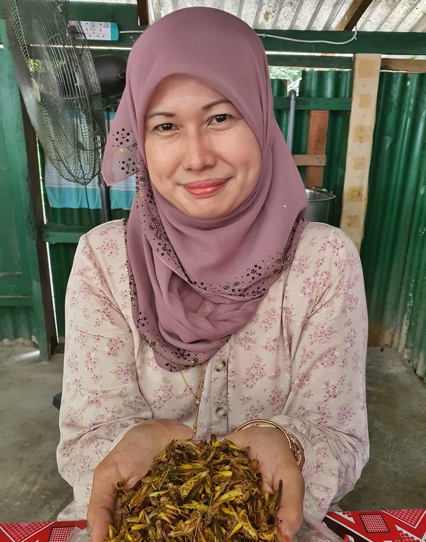 东：丹州巴西富地1名女子每天要买上千只蚱蜢，只为了制作别有风味的“蚱蜢干（serunding belalang）”。