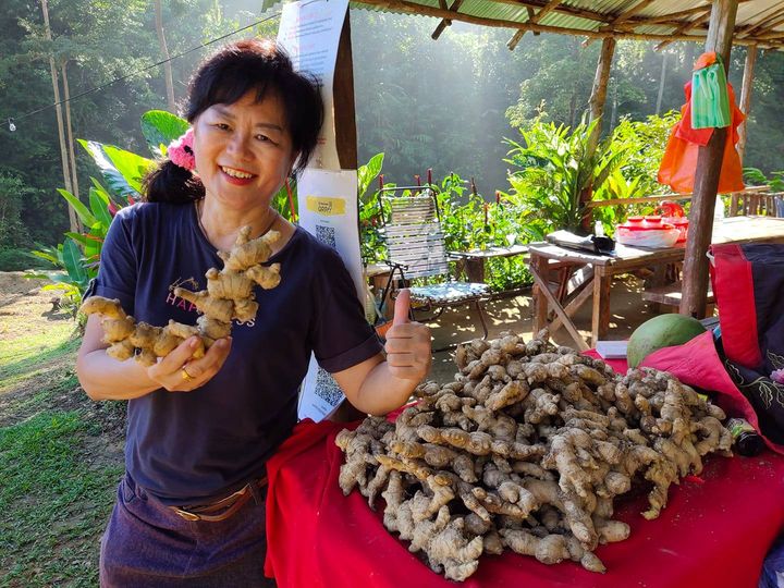 东：云海山的登山客不减