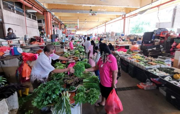 供FB／蔬菜涨价！芫荽每公斤50令吉，菜贩：贵到不敢入货