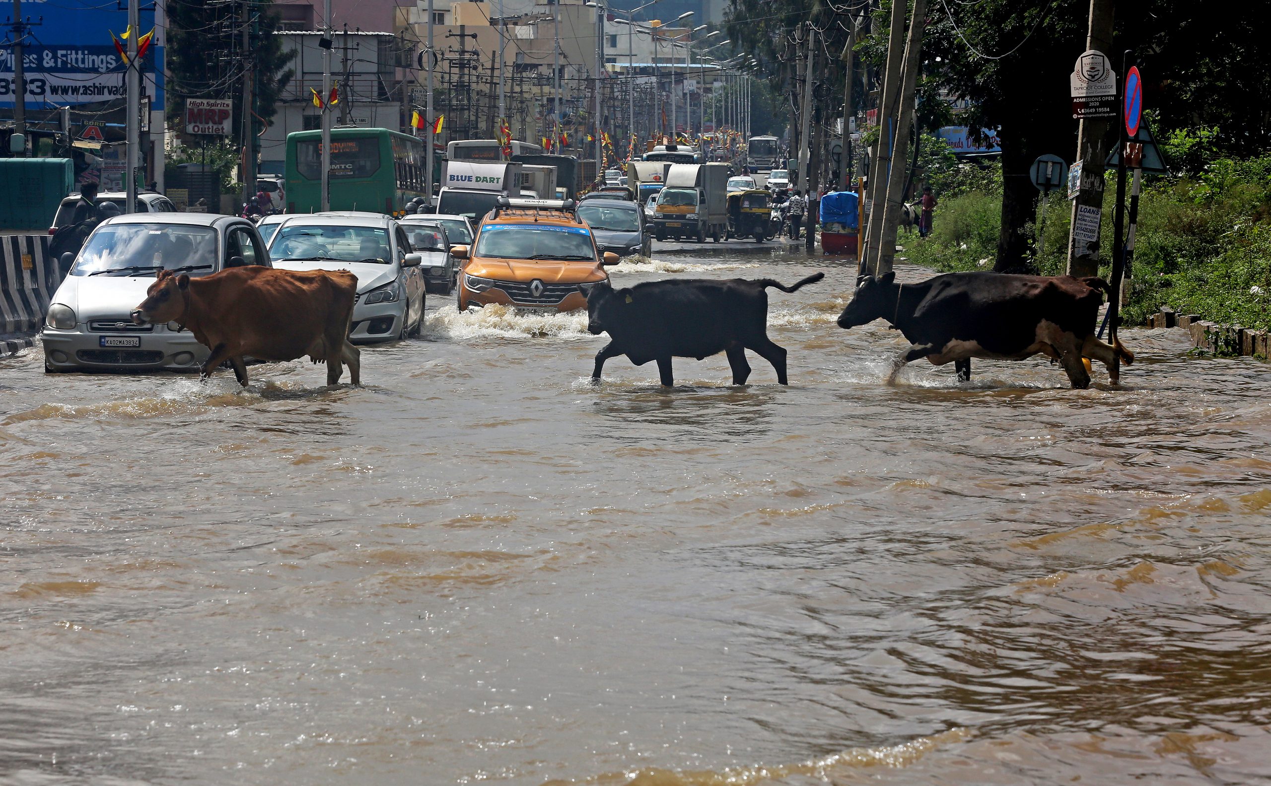 印度／连续一周强降雨！南部洪灾至少30死 数千居民流离失所
