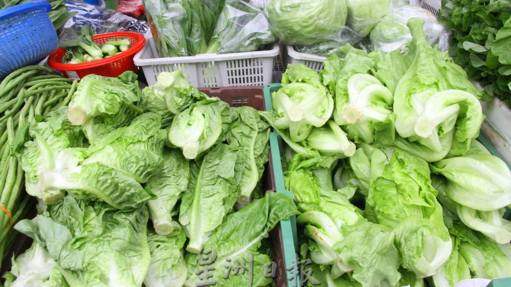 蔬菜大涨价 恐持续到明年