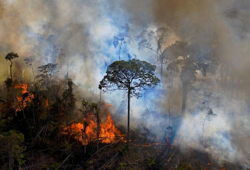 天下事  逾百国家将承诺2030年停止森林砍伐