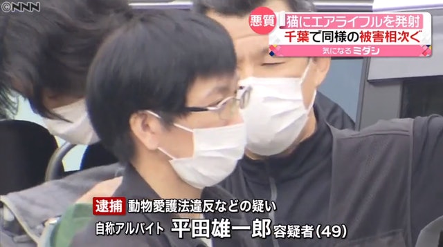 日男3年气枪射杀近百只猫 仅判缓刑惹争议