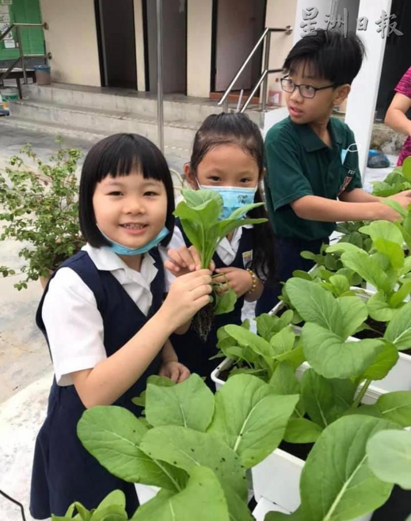 社区学校／邀音乐家办高水准音乐会 飞优国际学校为埔地华小筹款