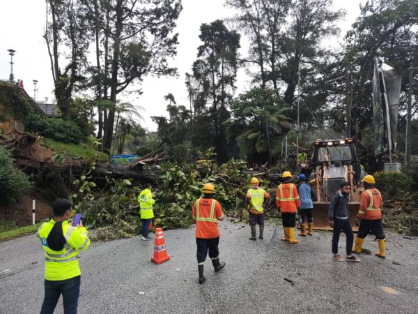 金马仑暴风雨树倒压车  至少6处土崩影响交通