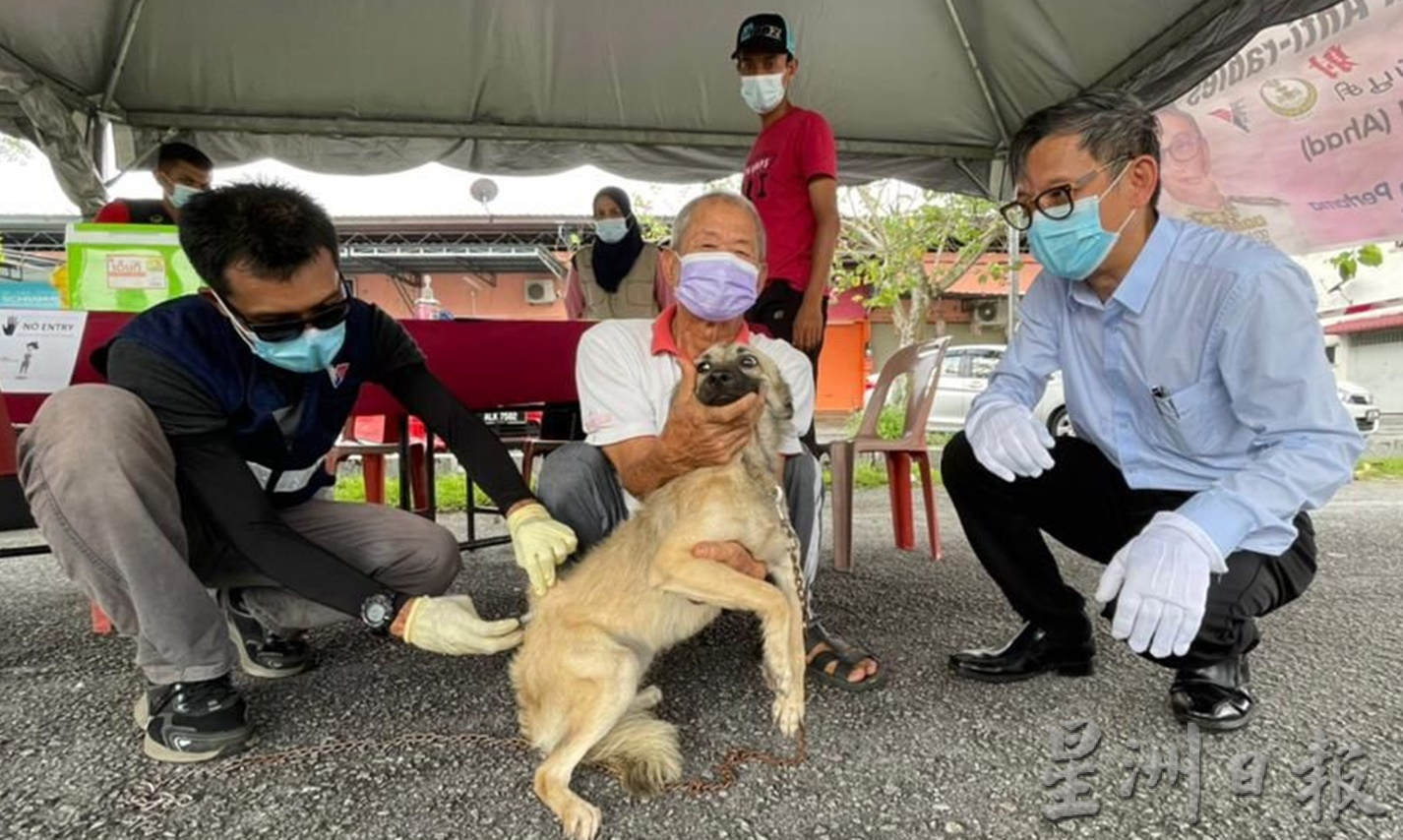 霹／太平明年有望除狂犬症疫区污名