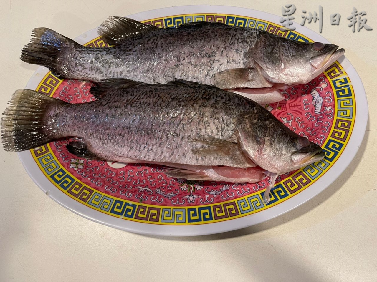霹：第三版头／十八丁峇登金目鲈鱼 每公斤40至60令吉可吃到