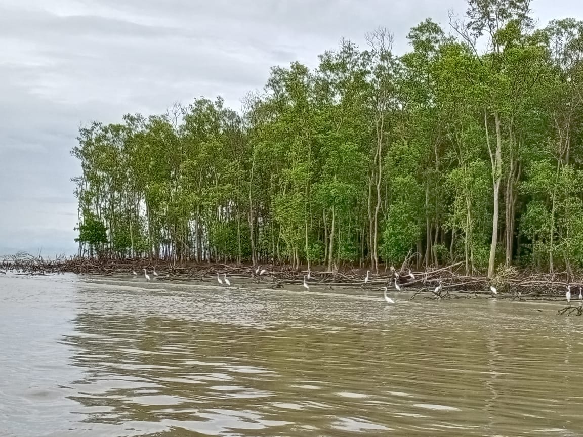 （大北马）槟环境局通过观察候鸟生态系统计划，也监测槟州海水质量。