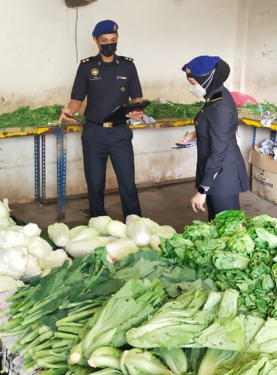 （大北马）蔬菜价格暴涨槟贸消局发8通告，查槟蔬菜进出口商批发商