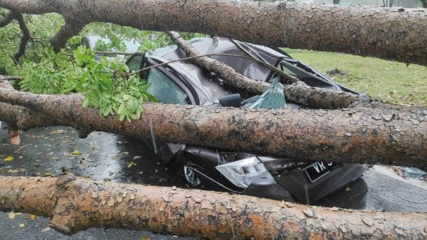 me03主文--大都会/暴风雨导致树倒压坏车和屋顶