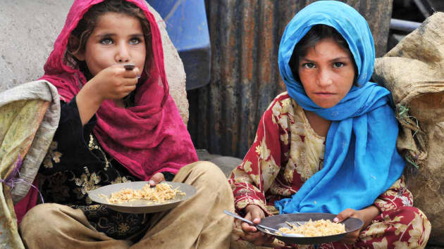 世界粮食计划署：98%阿富汗人吃不饱饭