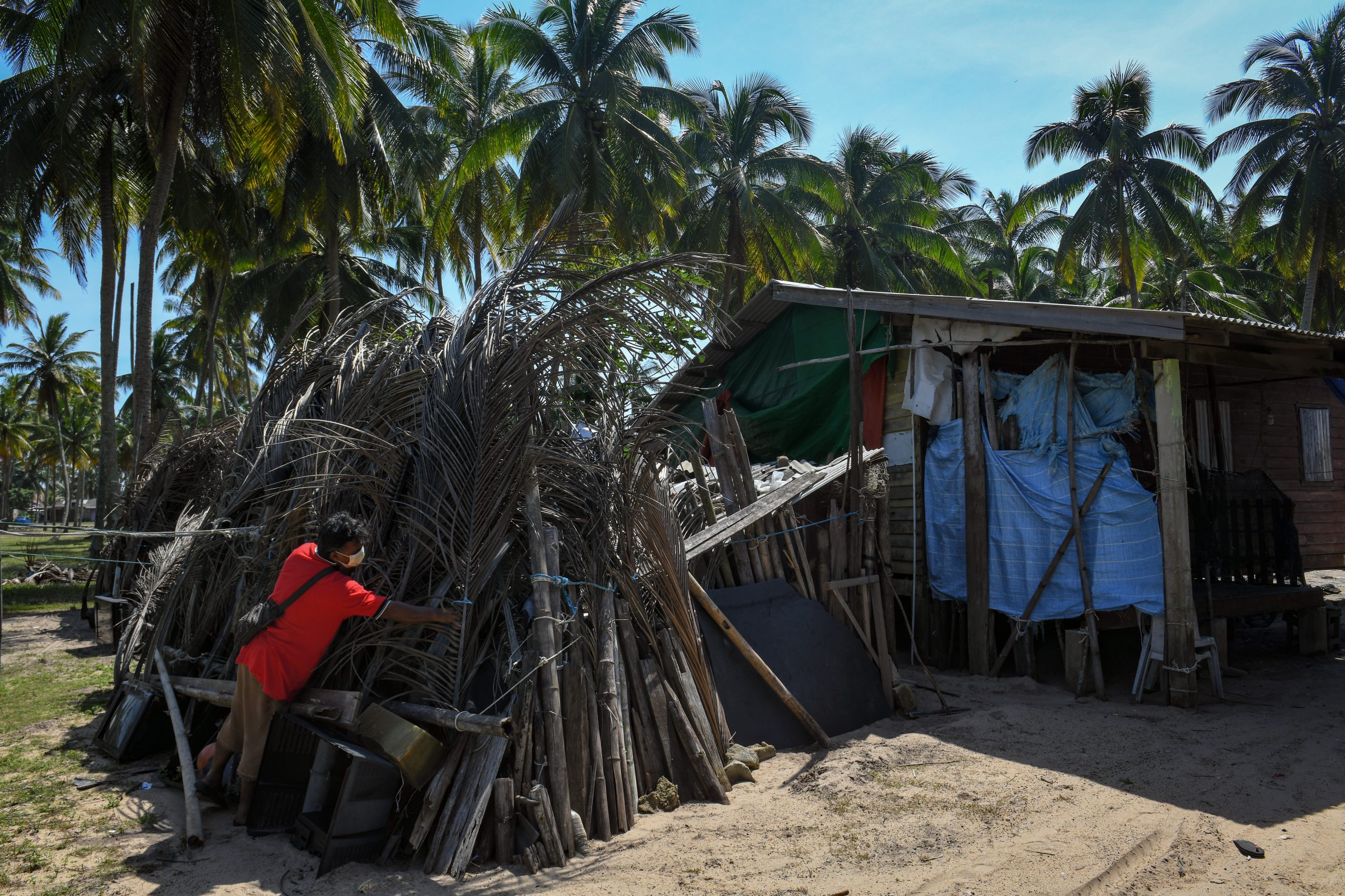 东：椰子叶屏障防护房屋