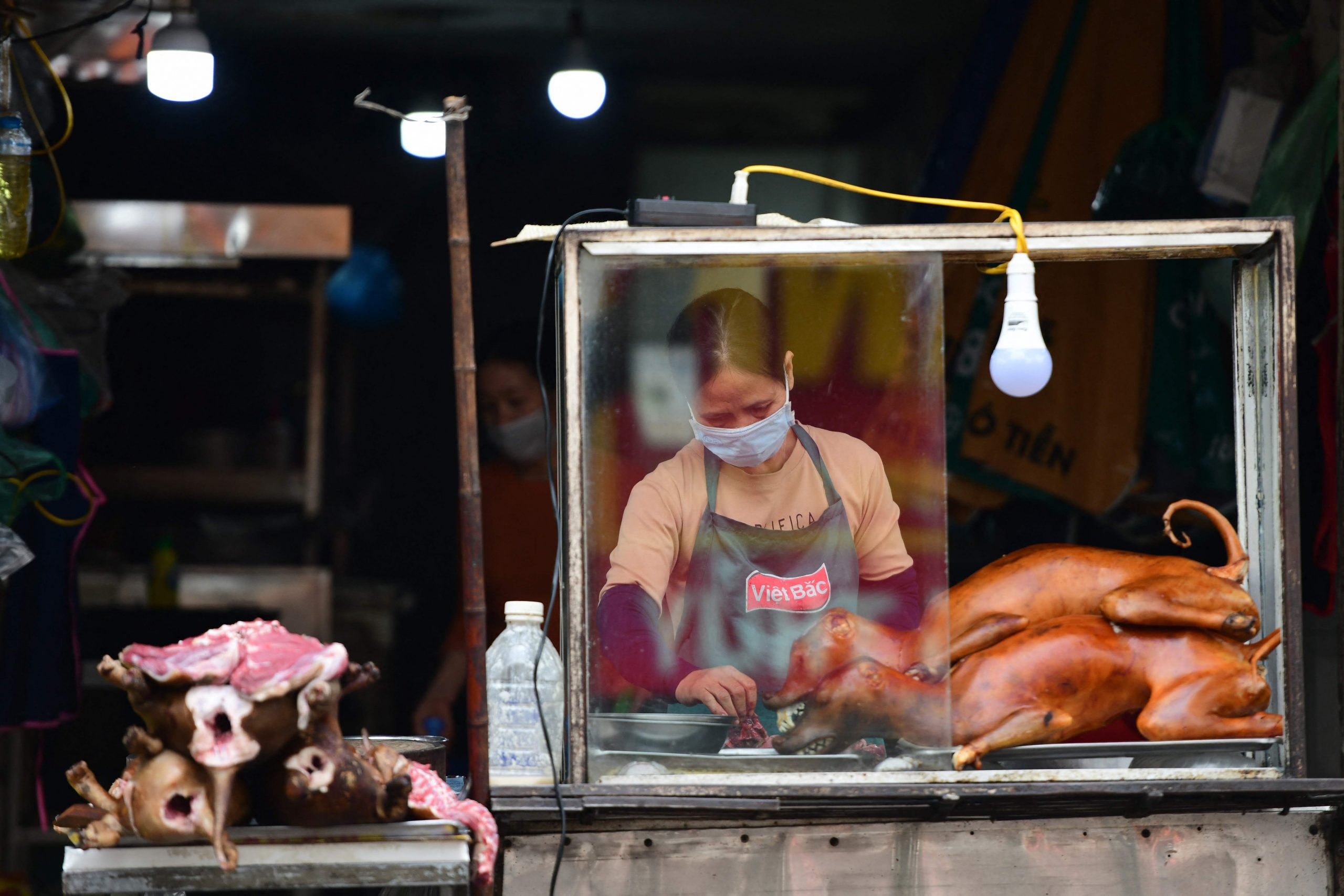 拚图)越南观光大城会安开全国第一枪 将逐步停售猫狗肉