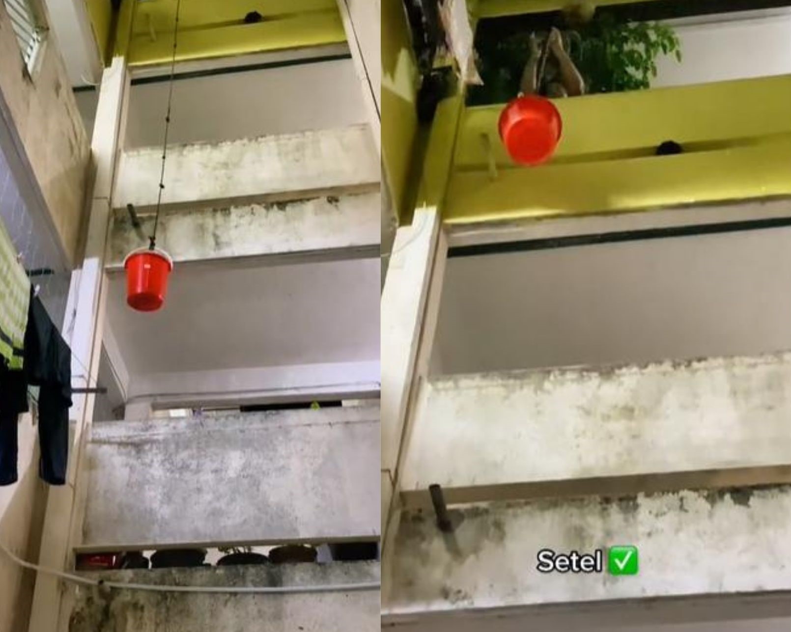 视频 | 顾客不愿下楼取餐！从4楼降水桶给送餐员