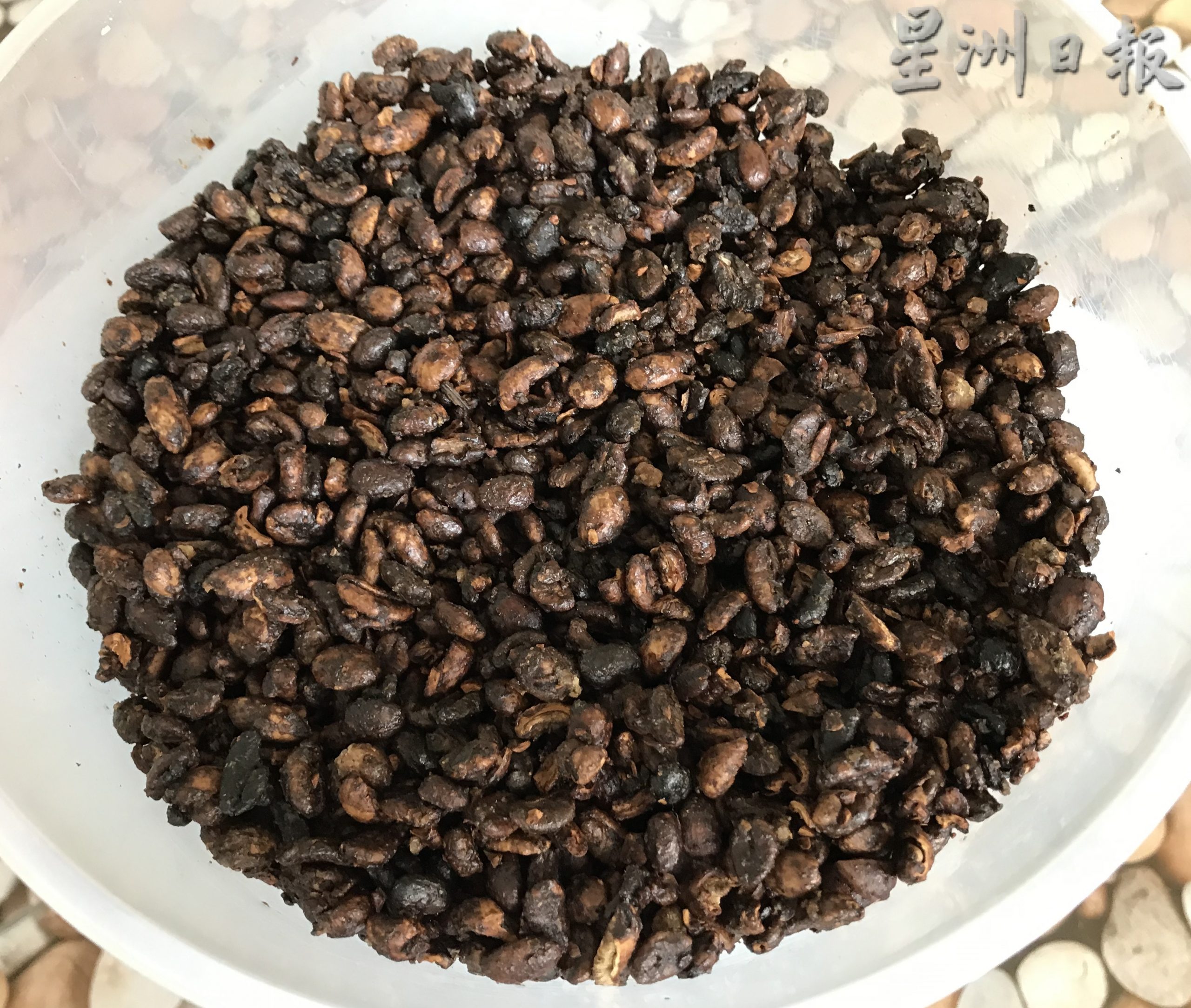 霹：农的传人：自种自制自泡 赖比瑞亚咖啡江沙飘香