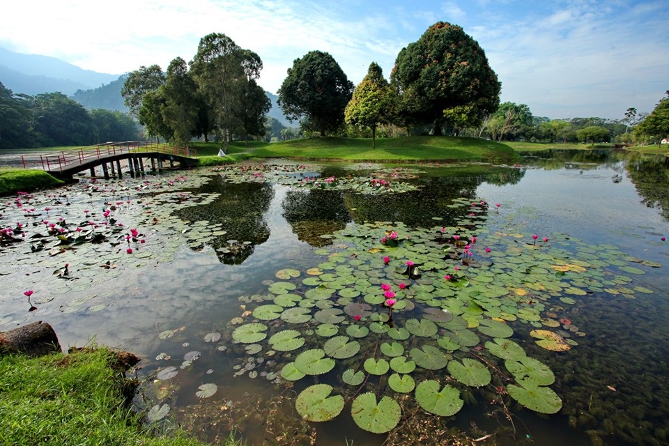霹：版头／众旅游景点太平湖公园最受欢迎
