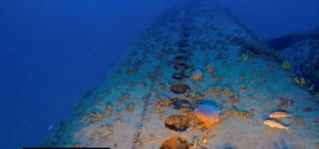 二战意军潜艇沉没80年　潜水员意外寻获