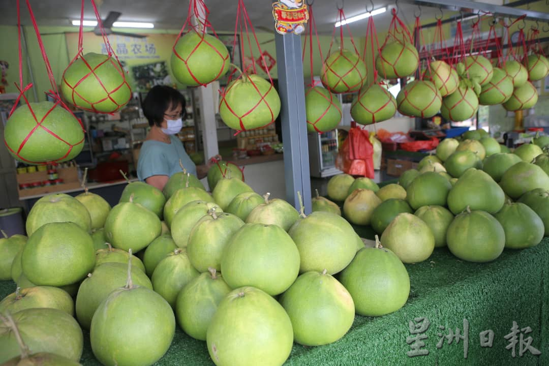 大霹雳时事焦点／雨季影响打扪柚子产量少 新年供不应求价格涨