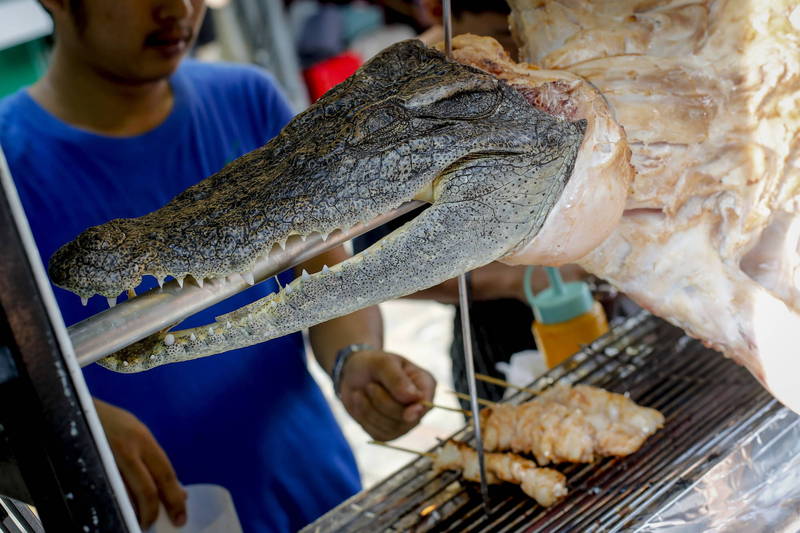 拼盘／猪价狂飙 泰国餐厅改用“鳄鱼”入菜