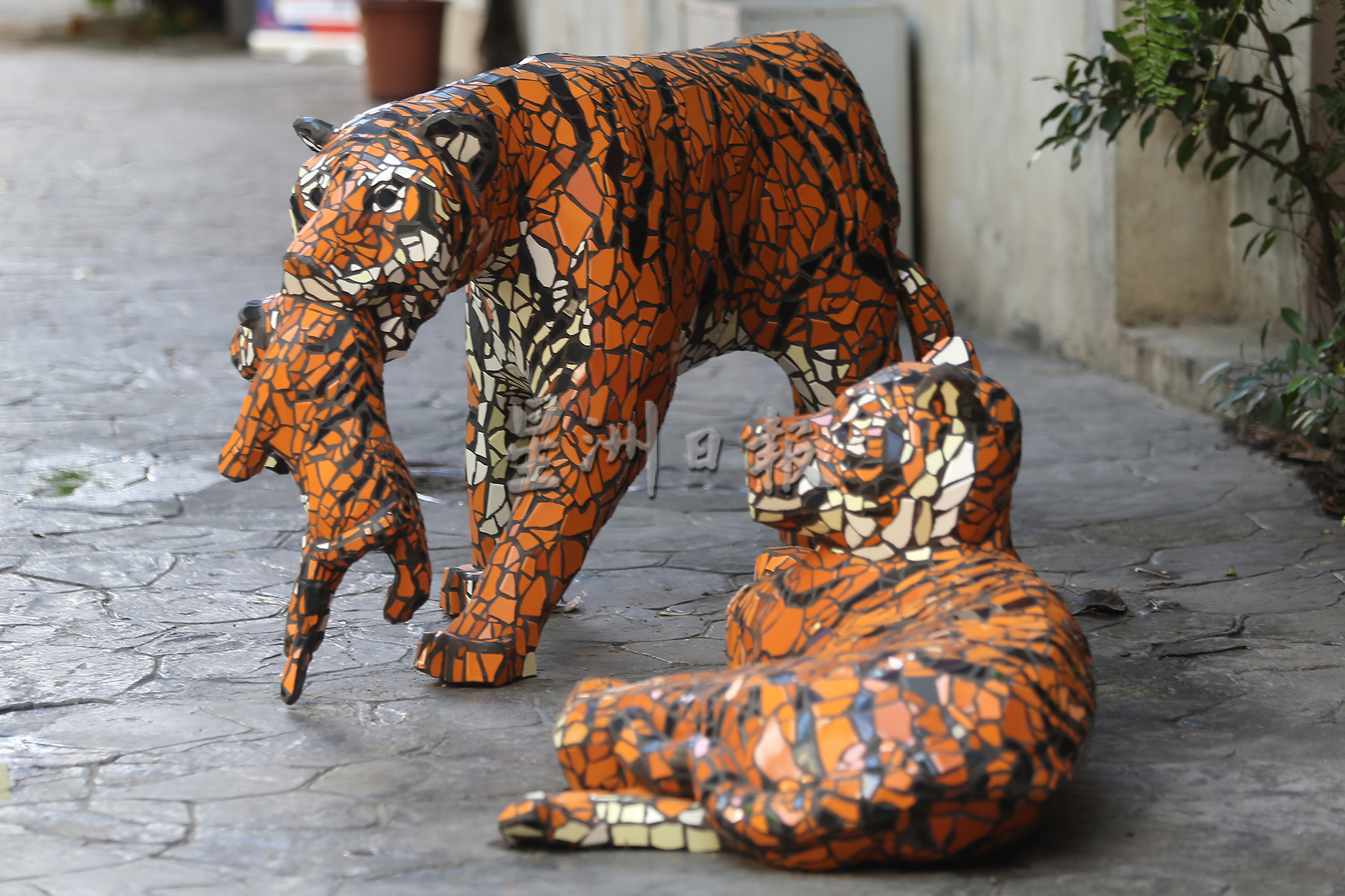 独家|虎雕塑展出4天遭破坏  鬼仔巷：“请尊重艺术，眼看手不动”