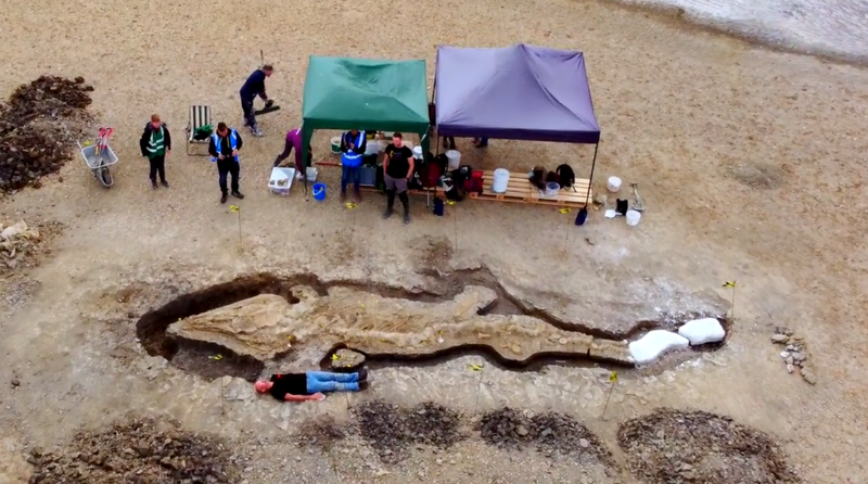 英国考古史之最！1.8亿年前“海龙”完整10公尺出土