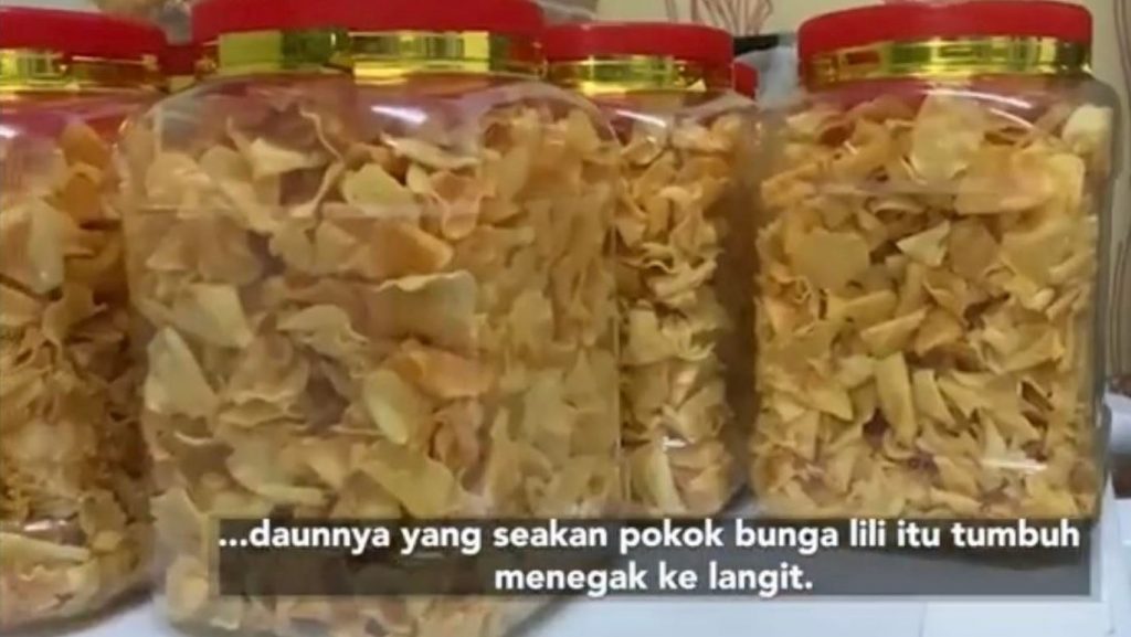 视频 | 马来妇女太爱吃牙菇饼！爱到学做发农历新年财