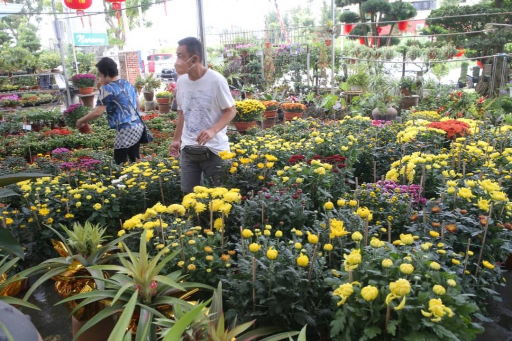 霹：封面主文／年柑年花最后冲刺 部分年货断市 市道后劲十足