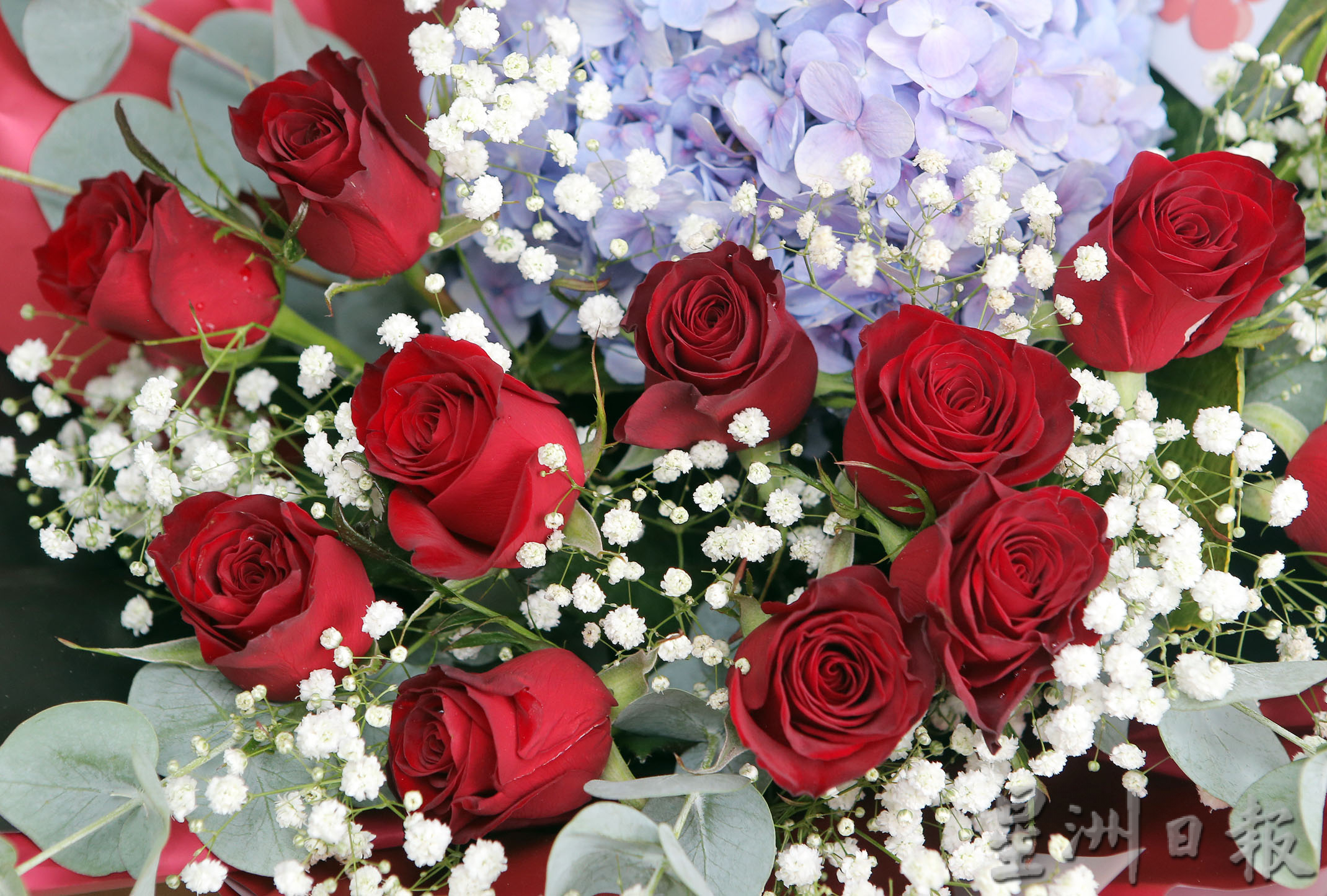 大霹雳时事焦点／玫瑰花涨价无阻送花心意 情人节送花给老婆女儿